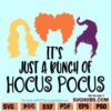 It's Just a Bunch of Hocus Pocus SV