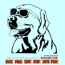 Labrador Retriever with sunglasses SVG