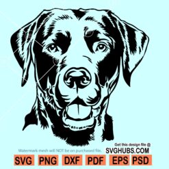 Labrador dog svg