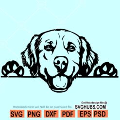 Golden Retriever SVG