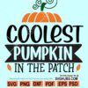 Coolest Pumpkin in the Patch SVG, Pumpkin Patch SVG, Boy Pumpkin SVG, Fall svg files