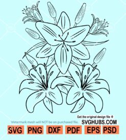 Lilly flower svg