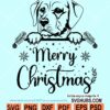 Merry Christmas peeking dog svg