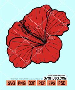 Beautiful hibiscus flower svg