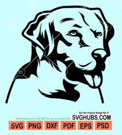 Labrador retriever svg