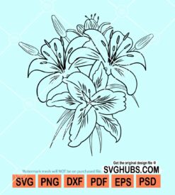 Lilium flower svg