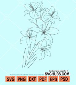 Lily flower svg