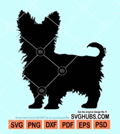 Yorkshire terrier svg