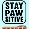 Stay pawsitive svg