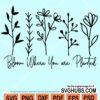 Bloom where you are planted svg