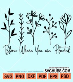 Bloom where you are planted svg