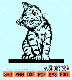 Cute kitten svg