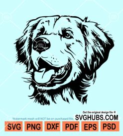 Golden retriever svg