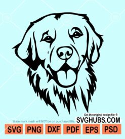 Golden Retriever SVG