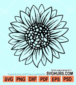 Sunflower clipart svg