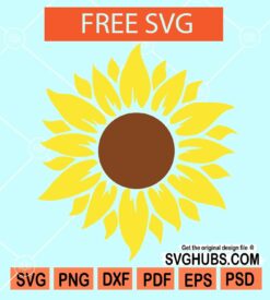 Sunflower svg free, sunflower svg cricut, sunflower svg file free, sunflower svg etsy, sunflower svg image