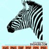 Zebra head svg