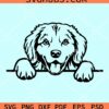 Peeking golden retriever svg