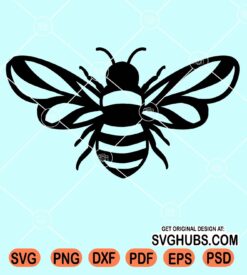 Bee Clip Art svg