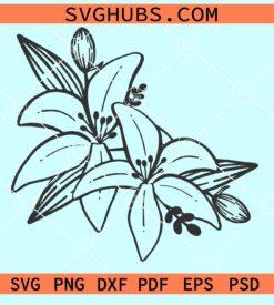 Lily flower svg