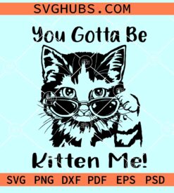 You Gotta Be Kitten Me SVG, funny cat svg, cat with sunglasses svg