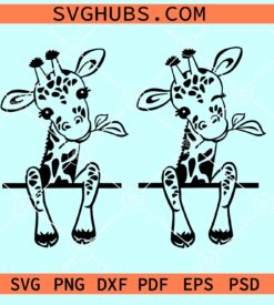 Peekaboo giraffe SVG, cute giraffe SVG, Peeking giraffe SVG