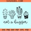 Not a hugger cactus SVG, hugger cactus svg, introvert svg, cactus svg