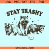 Stay Trashy raccoon SVG, Stay Trashy SVG