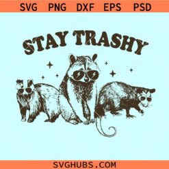 Stay Trashy raccoon SVG, Stay Trashy SVG