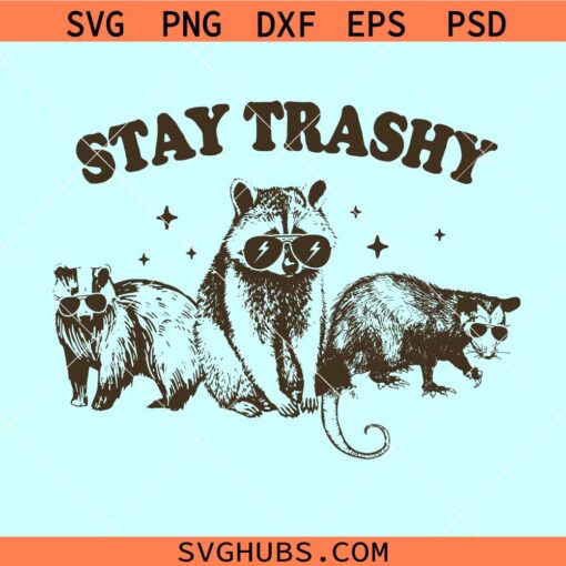 Stay Trashy raccoon SVG, Stay Trashy SVG