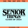 Senior Things class of 2025 svg, Stranger Things senior svg, Senior Things class of 2025 svg